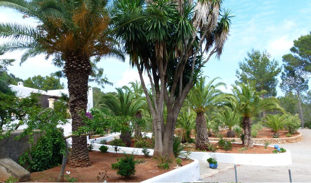 Hacienda Encanto Del Rio Playa DPlaya Des Figueral Kültér fotó