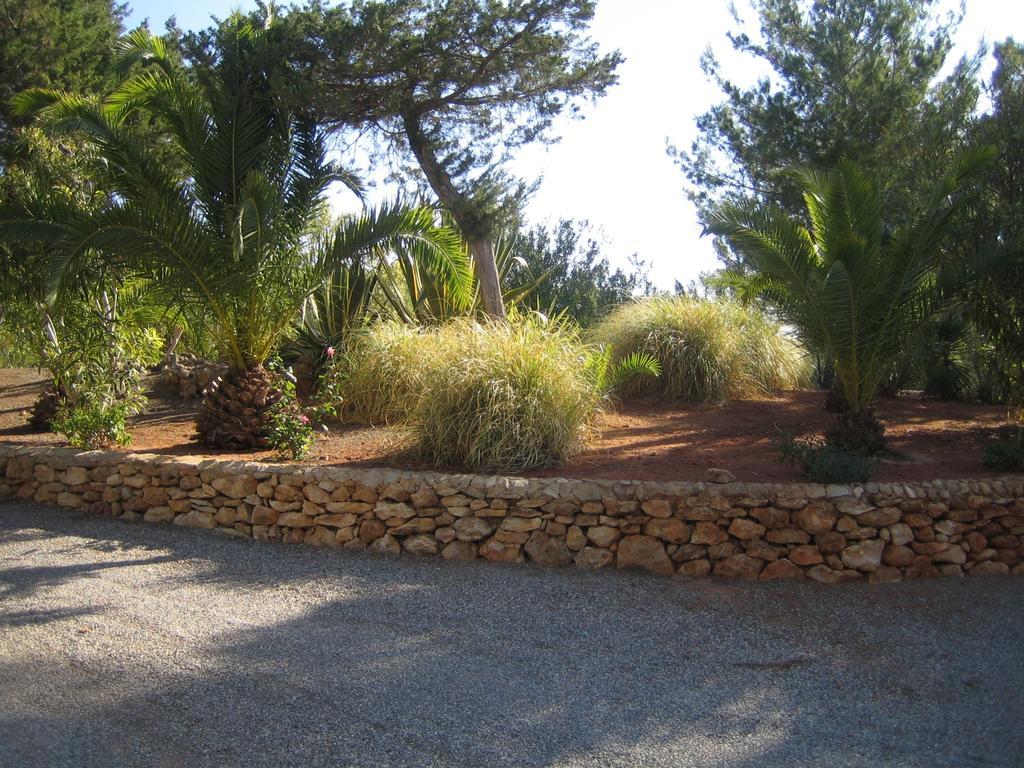 Hacienda Encanto Del Rio Playa DPlaya Des Figueral Kültér fotó